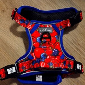 Beast & Buckle berries 'n' cherries NO Pull Harness & Leash Bundle *NEW*